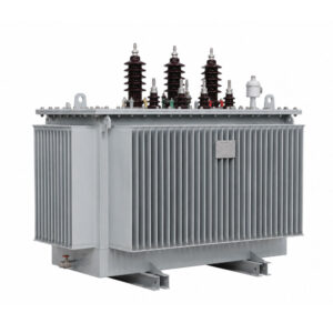 Oil Immersed Transformer Feature